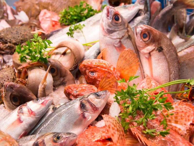 Fethiye fish market